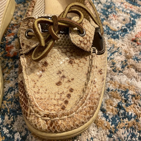 Comfortable Sperry Anglefish Python Brown Shoes - Picture 2 of 5